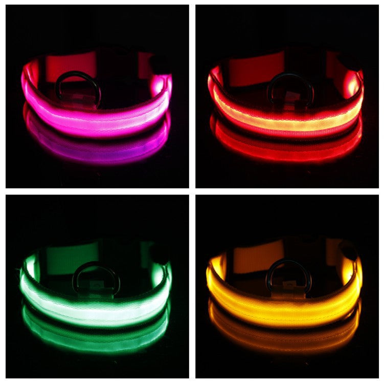 NightSafe LED Dog Collar - Lifestyle
