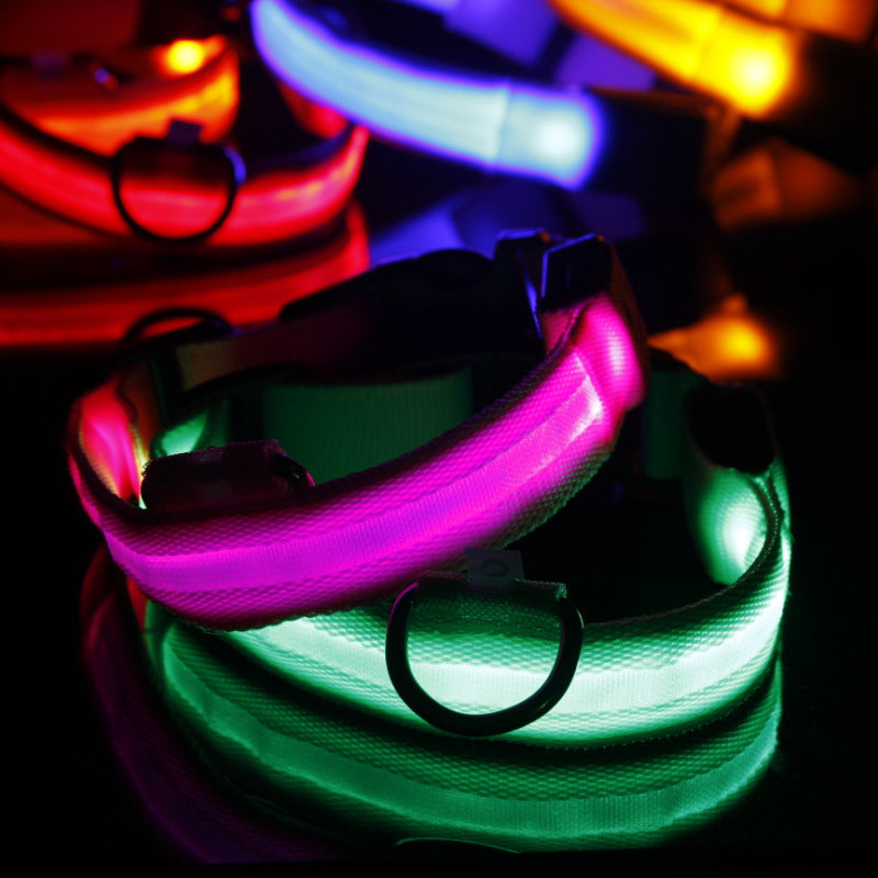 NightSafe LED Dog Collar - Problem-Solution